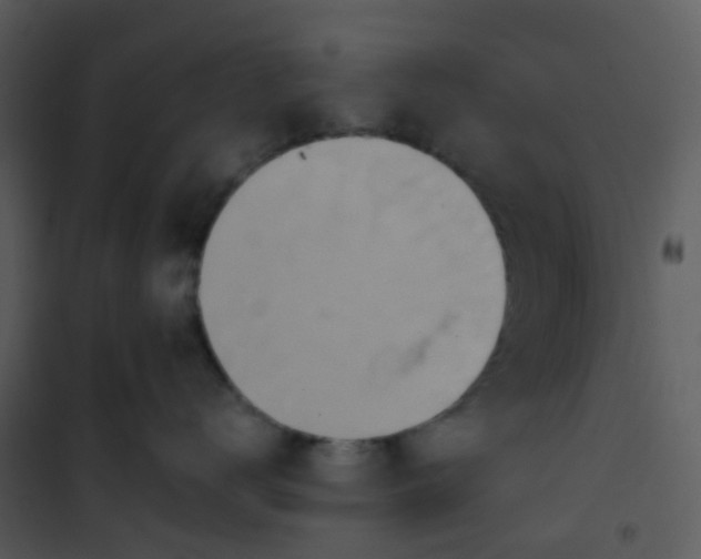 X0000101170672200807181425
