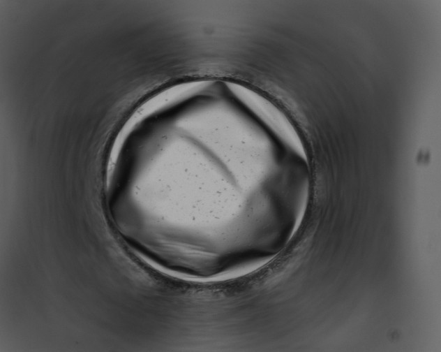 X0000101170673200807181424