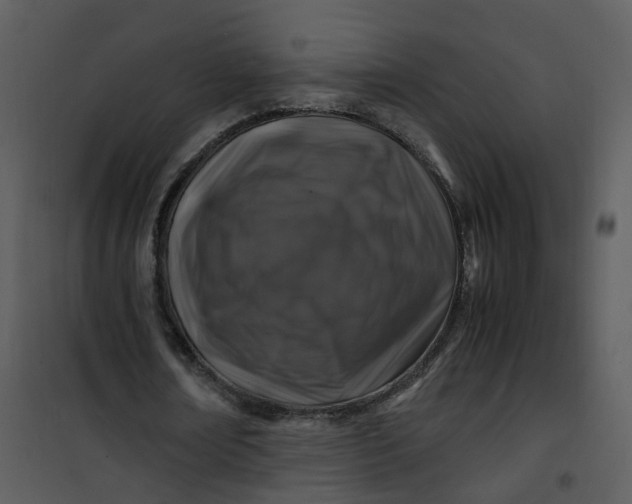 X0000101170674200807181424