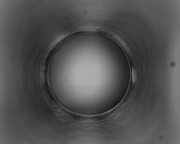 X0000101170675200807181424