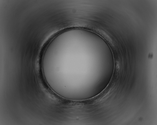 X0000101170676200807181424