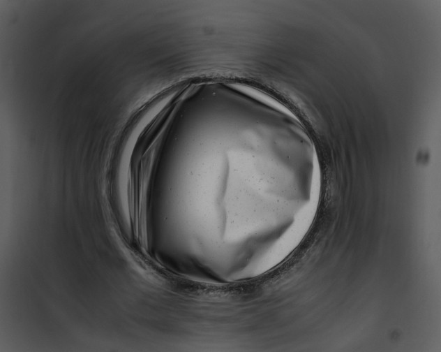 X0000101170677200807181424