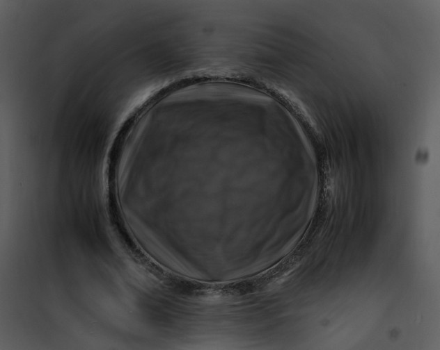 X0000101170678200807181424