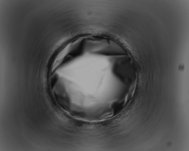 X0000101170679200807181424