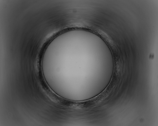X0000101170680200807181424