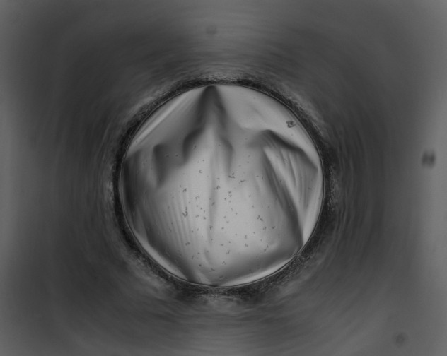 X0000101170681200807181424
