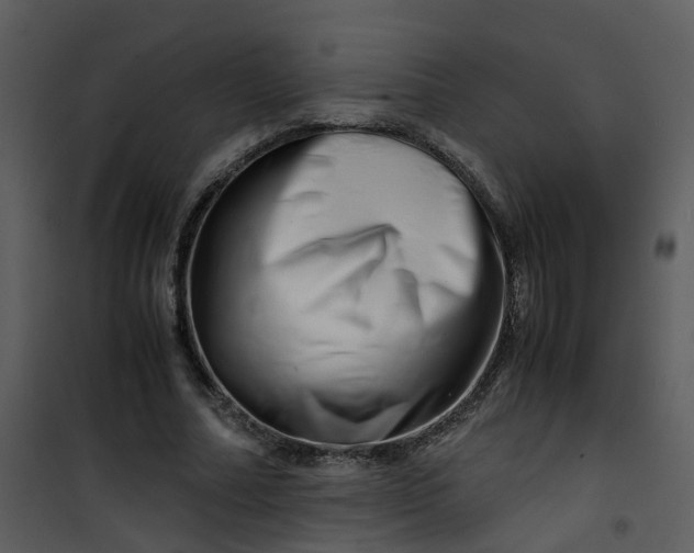 X0000101170682200807181424