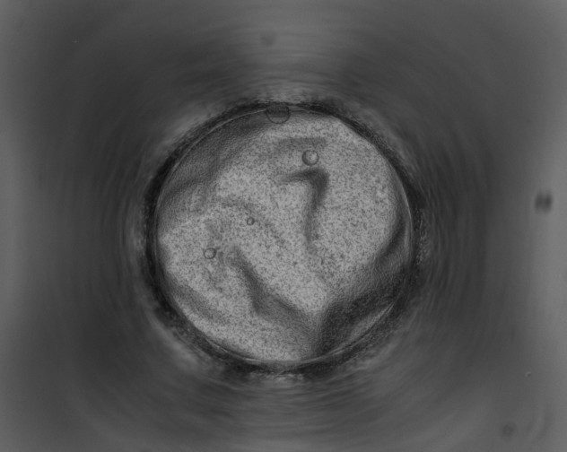 X0000101170683200807181424
