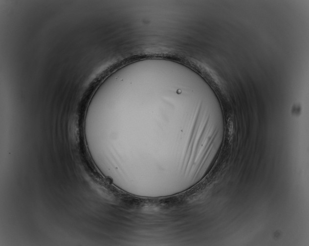 X0000101170684200807181424