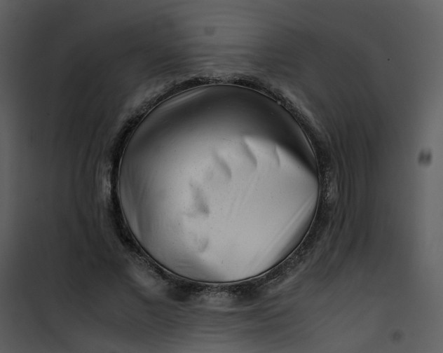 X0000101170685200807181424