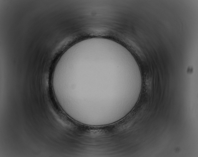 X0000101170686200807181424