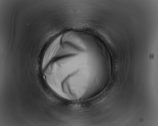 X0000101170687200807181424