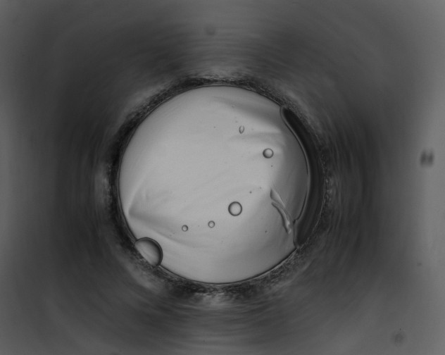 X0000101170688200807181424