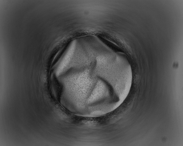 X0000101170689200807181424