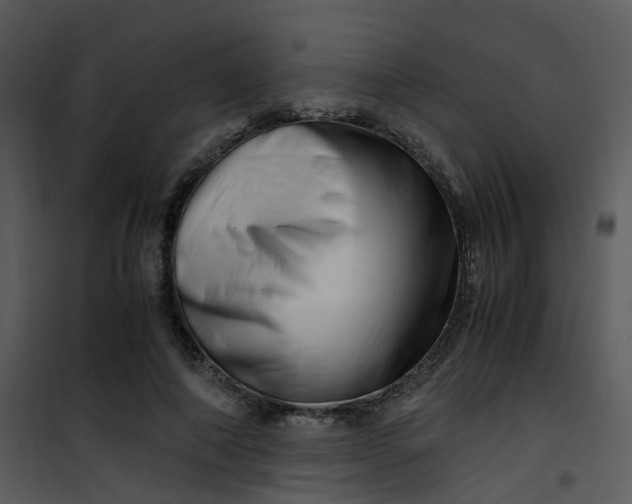 X0000101170690200807181424