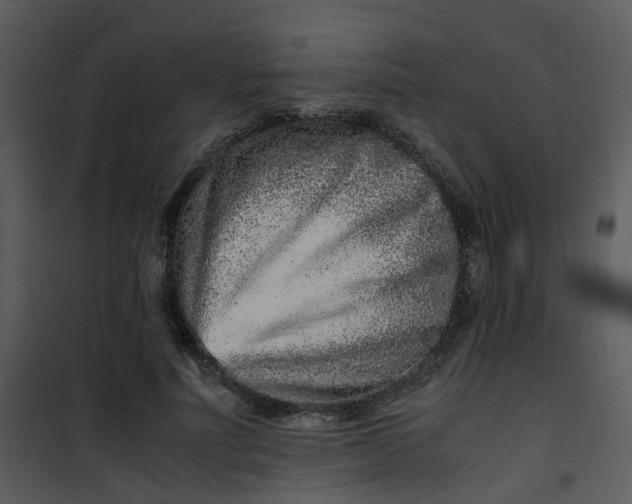 X0000101170691200807181424