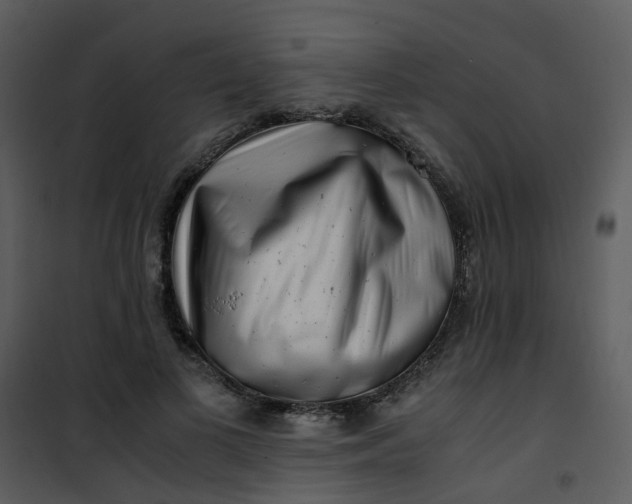 X0000101170693200807181423