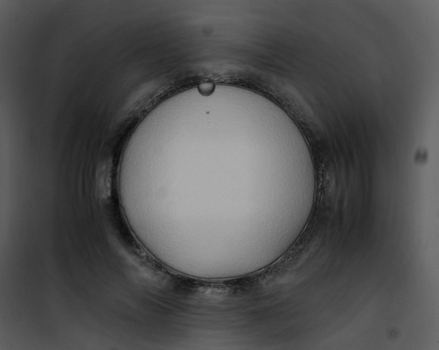X0000101170694200807181423