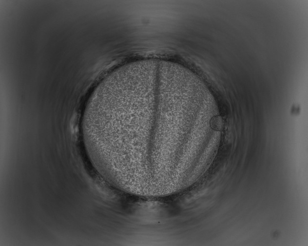 X0000101170695200807181423