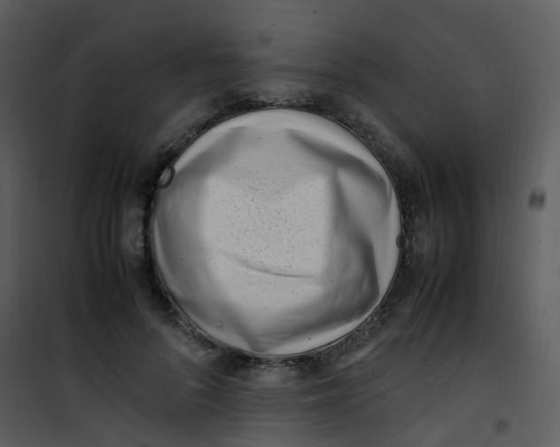 X0000101170696200807181423
