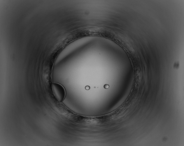 X0000101170698200807181423