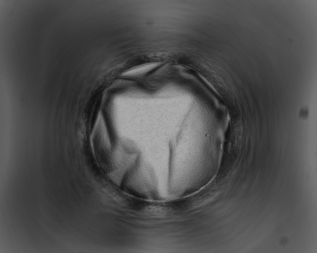 X0000101170699200807181423