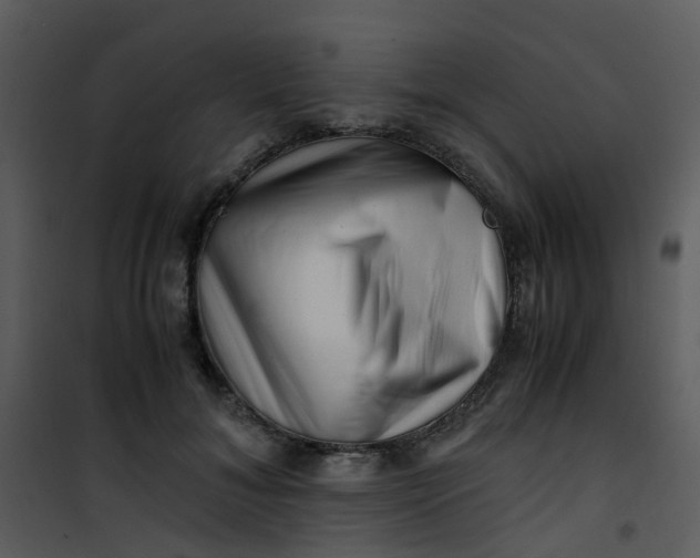 X0000101170700200807181423