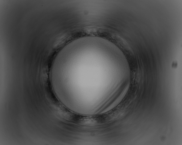 X0000101170702200807181423