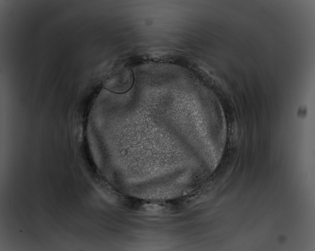 X0000101170703200807181423