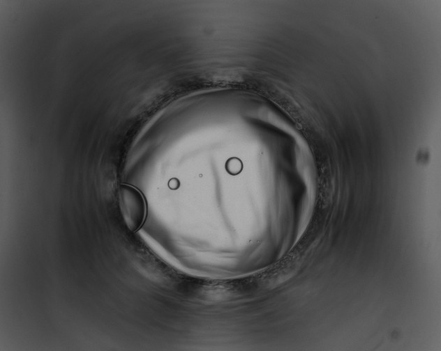 X0000101170704200807181423