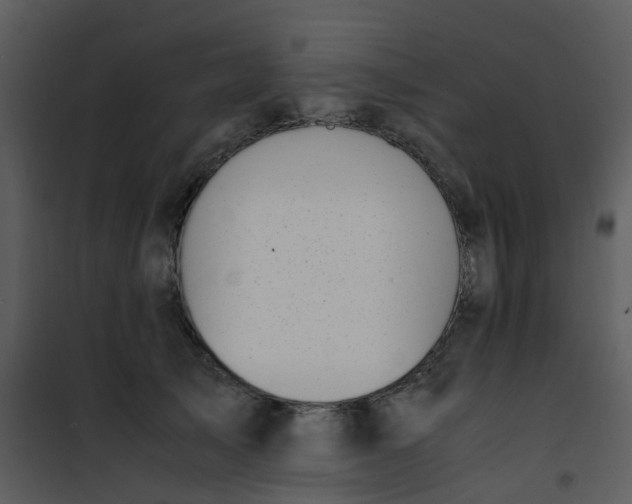 X0000101170705200807181423