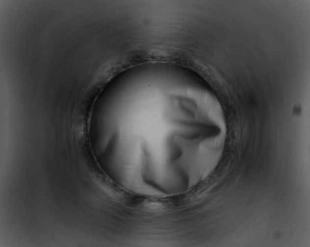 X0000101170706200807181423