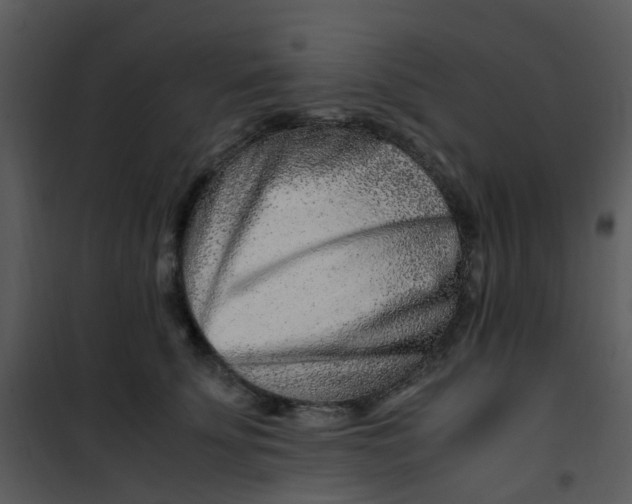 X0000101170707200807181423