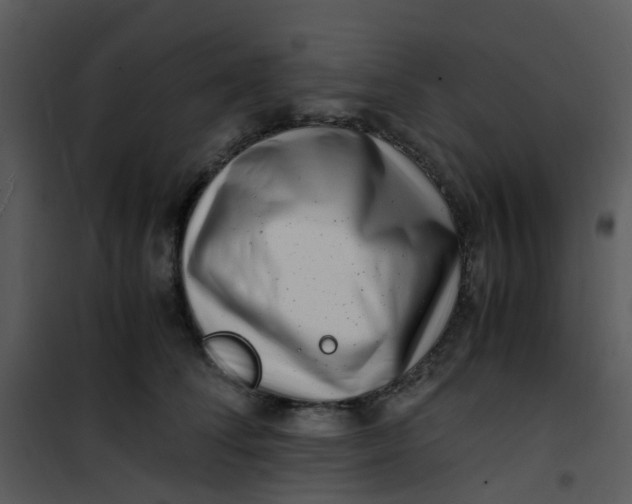 X0000101170708200807181423