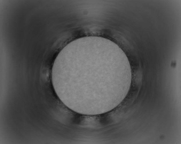 X0000101170709200807181423