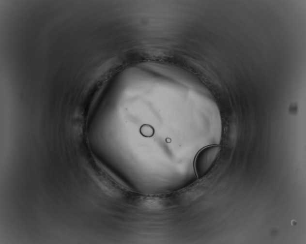 X0000101170710200807181423