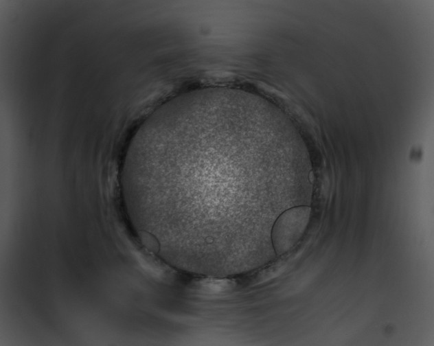 X0000101170711200807181423