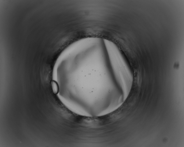 X0000101170712200807181423