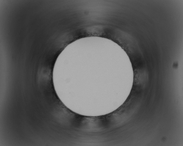 X0000101170713200807181423