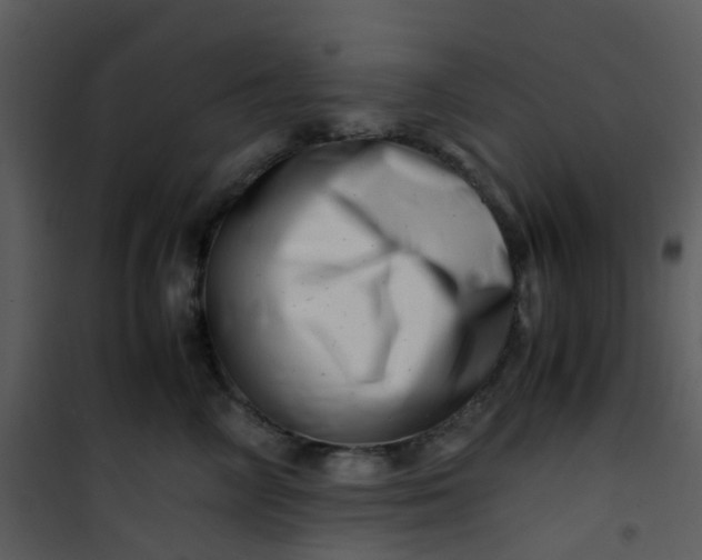 X0000101170714200807181423