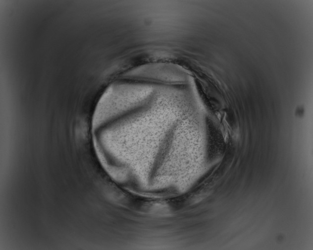 X0000101170715200807181423