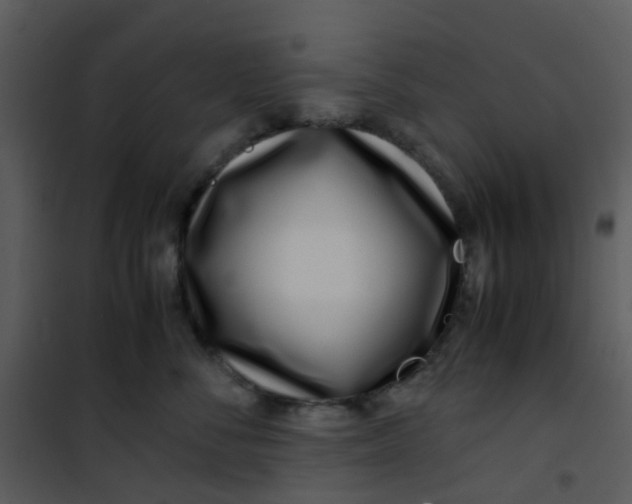 X0000101170716200807181423