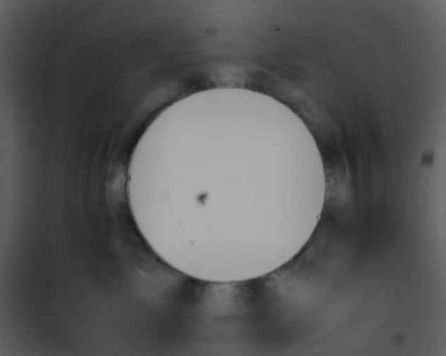 X0000101170717200807181423