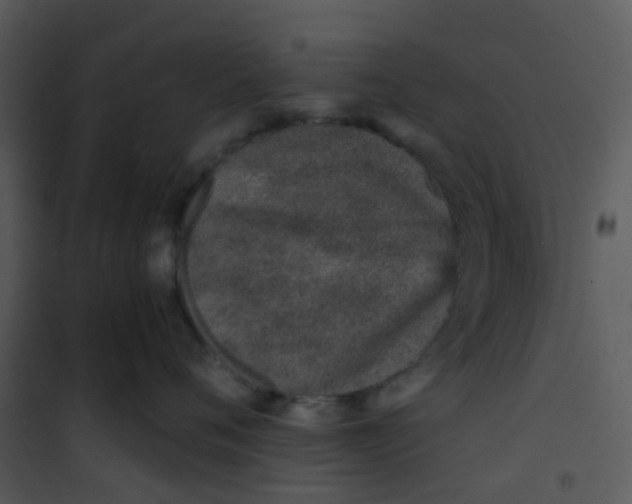 X0000101170720200807181423