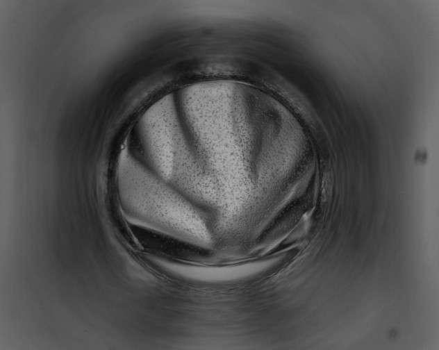 X0000101170722200807181422