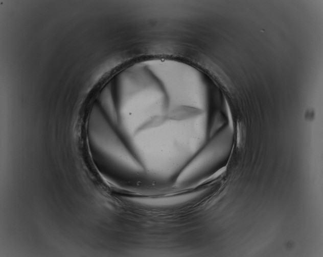 X0000101170723200807181422