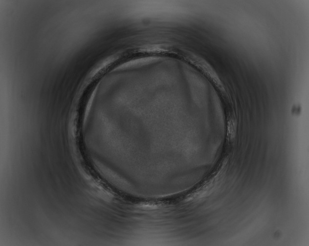 X0000101170724200807181422