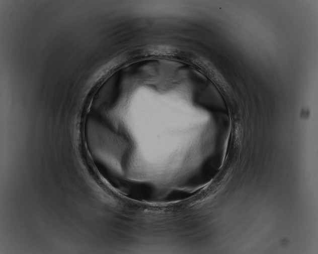 X0000101170725200807181422