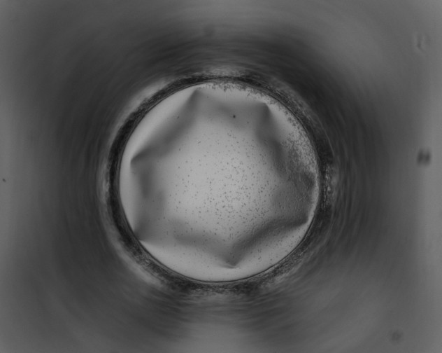 X0000101170726200807181423