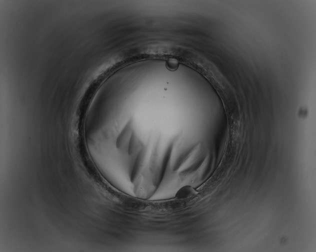 X0000101170727200807181423